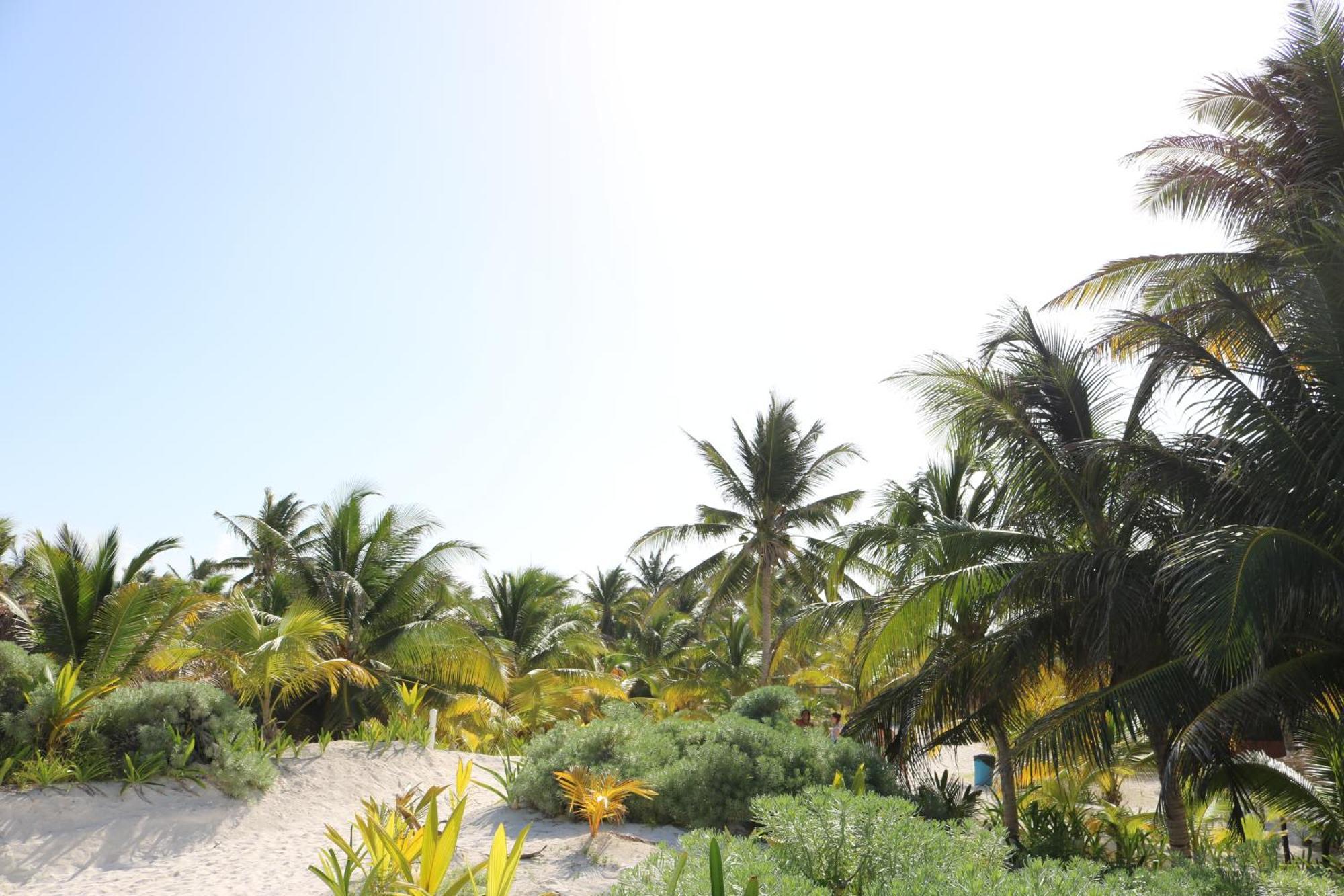 Hotel & Cabanas Zazil Kin Tulum Eksteriør bilde